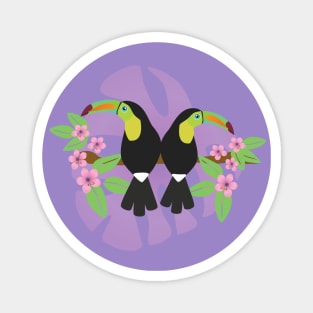 Keel billed toucans couple Magnet